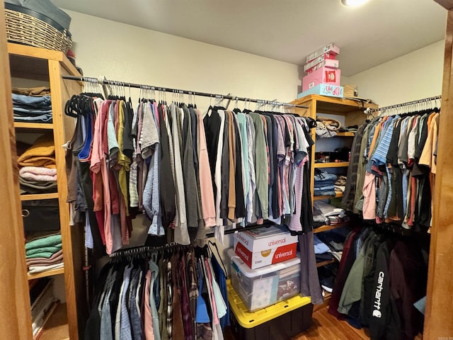 walk in closet featuring wood-type flooring