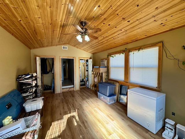 storage featuring ceiling fan