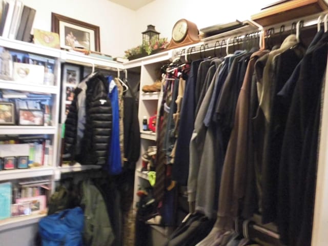 view of walk in closet