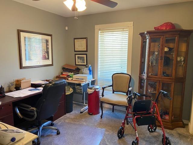 office featuring carpet floors and ceiling fan