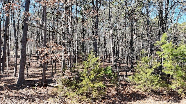 Listing photo 3 for LOTG1 Lakeside Dr, Fairfield Bay AR 72088