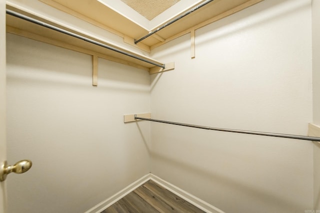 walk in closet featuring hardwood / wood-style floors