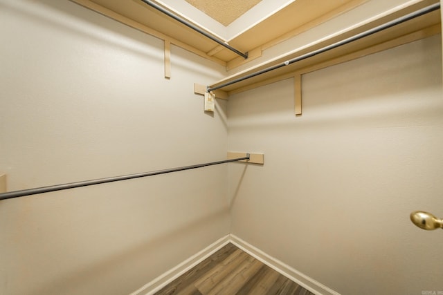 walk in closet with hardwood / wood-style floors