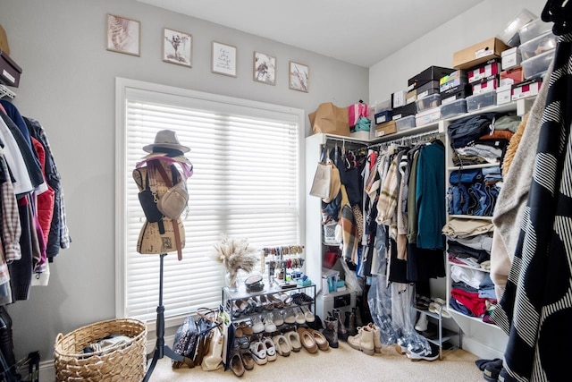 spacious closet featuring carpet floors