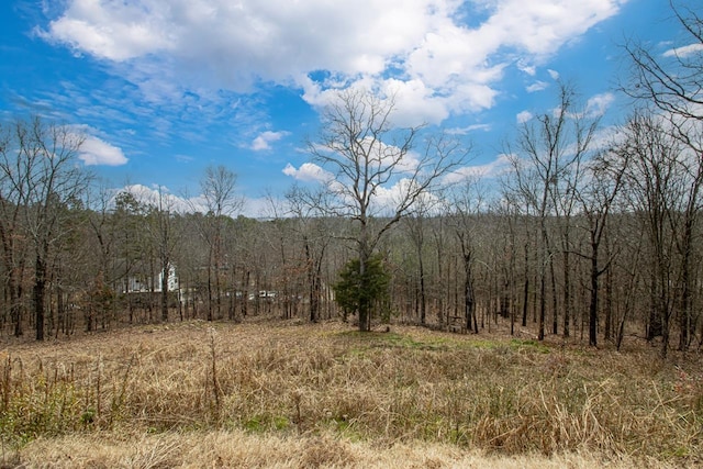 view of landscape