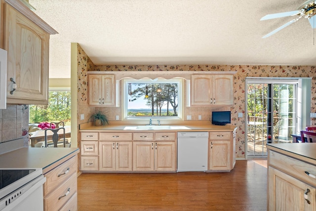 kitchen featuring white appliances, light brown cabinetry, sink, and light hardwood / wood-style flooring