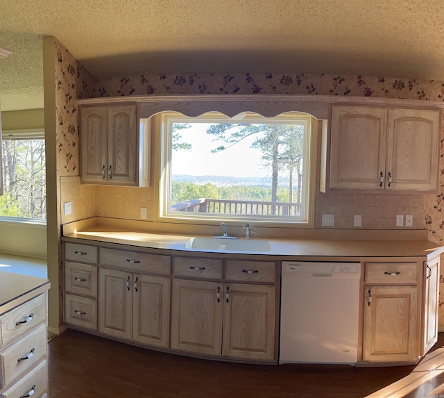 kitchen featuring dishwasher, sink, a wealth of natural light, and a textured ceiling