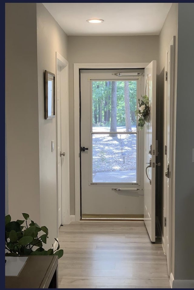 doorway to outside with plenty of natural light and light hardwood / wood-style floors