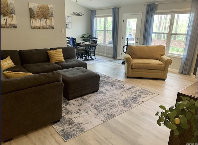 living room featuring a wealth of natural light and light hardwood / wood-style floors