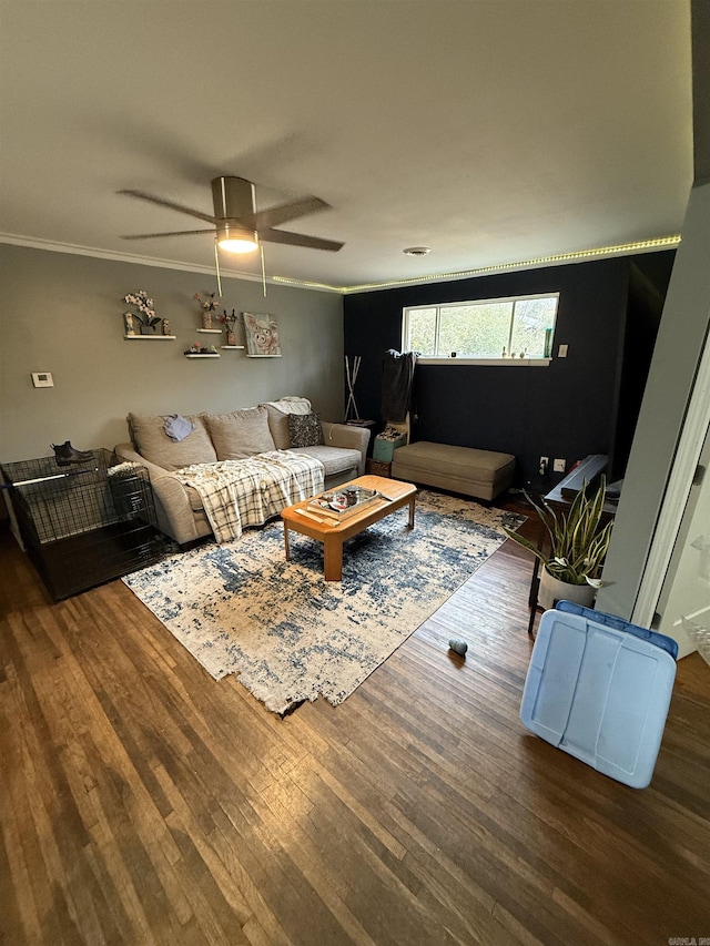 living room with dark wood-type flooring, ceiling fan, and ornamental molding