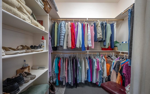 walk in closet with carpet flooring