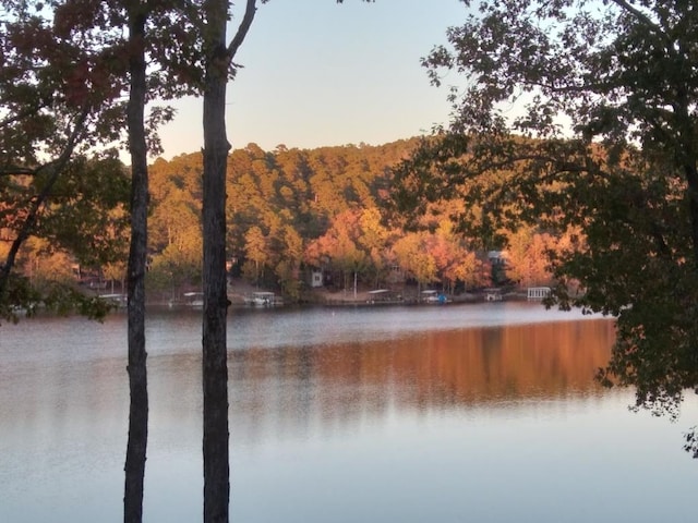 view of water feature