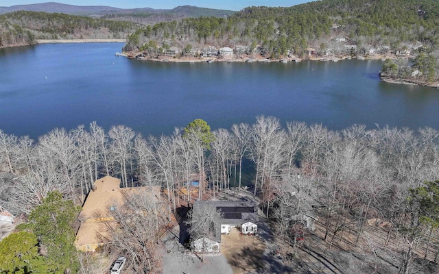 birds eye view of property featuring a water and mountain view