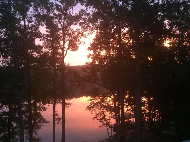 view of nature at dusk