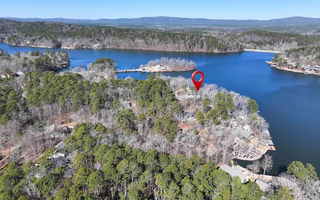 drone / aerial view with a water and mountain view