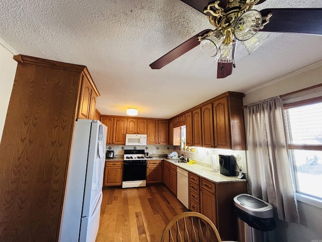 kitchen featuring crown molding, white appliances, dark wood-type flooring, and a healthy amount of sunlight