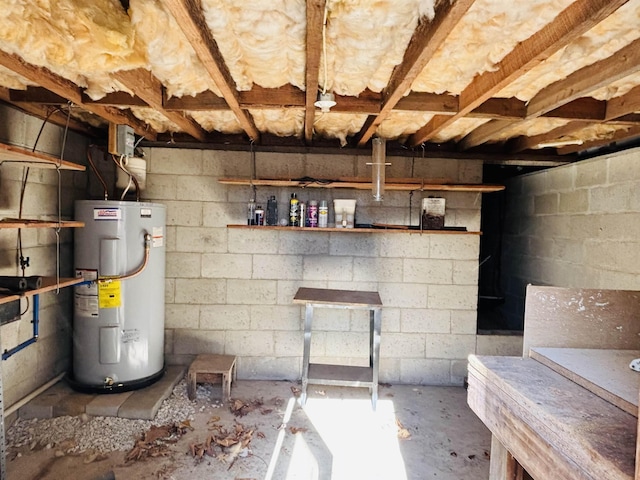 basement featuring water heater