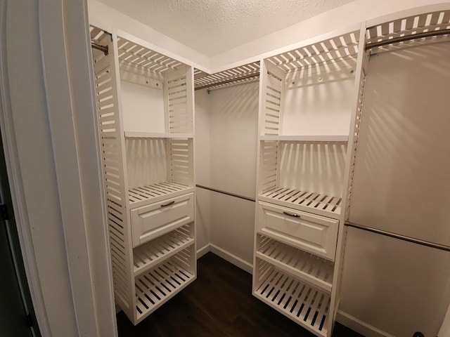 walk in closet with dark hardwood / wood-style flooring