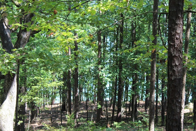 LOT14 Lake Pointe Dr, Quitman AR, 72131 land for sale