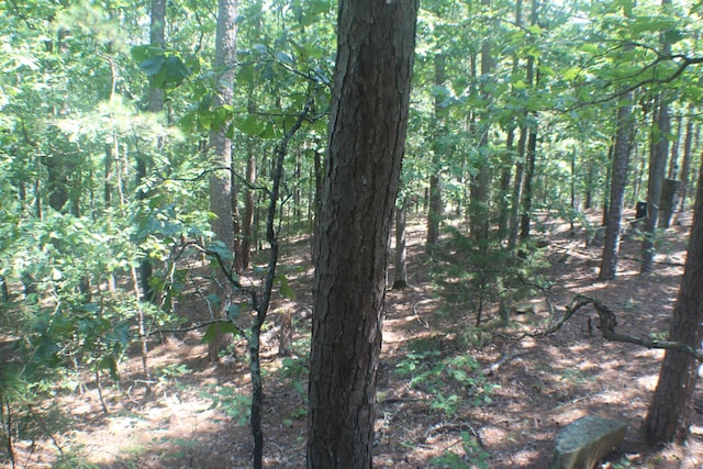 Listing photo 3 for LOT14 Lake Point Dr, Quitman AR 72131