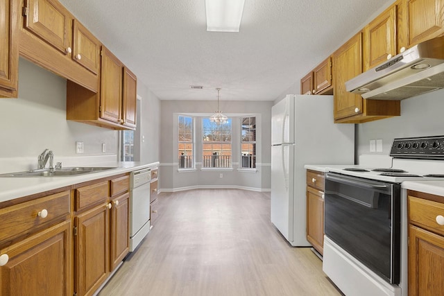 kitchen with sink, pendant lighting, light hardwood / wood-style flooring, white dishwasher, and range with electric cooktop