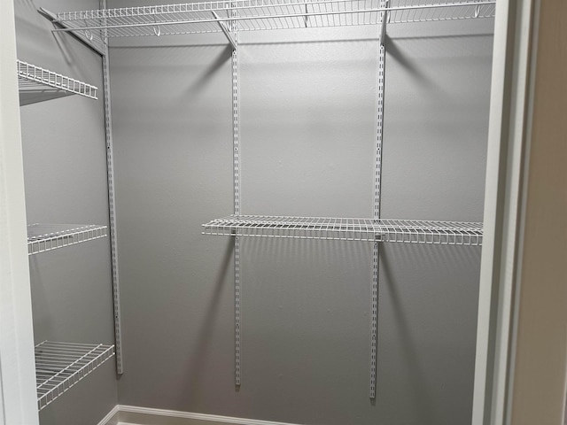 view of spacious closet