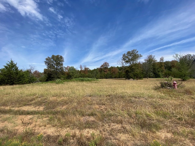 LOT14 Castlepines, Greenbrier AR, 72058 land for sale