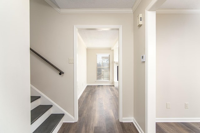 corridor with ornamental molding, dark hardwood / wood-style flooring, and a textured ceiling