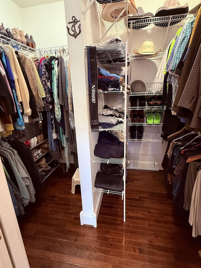 spacious closet featuring wood-type flooring