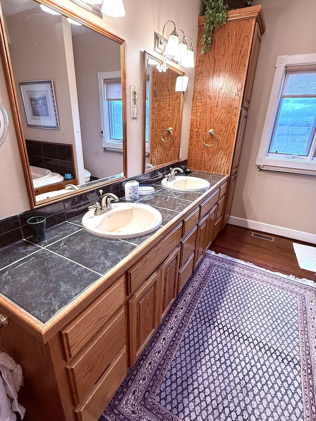 bathroom with vanity, wood-type flooring, and toilet