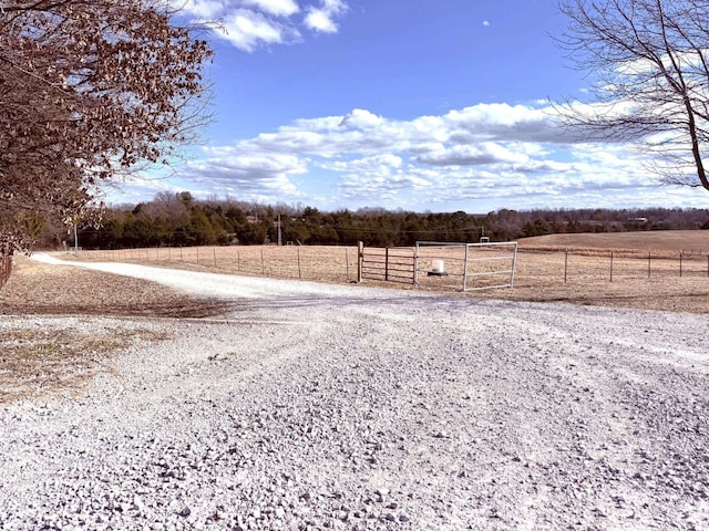 view of yard featuring a rural view