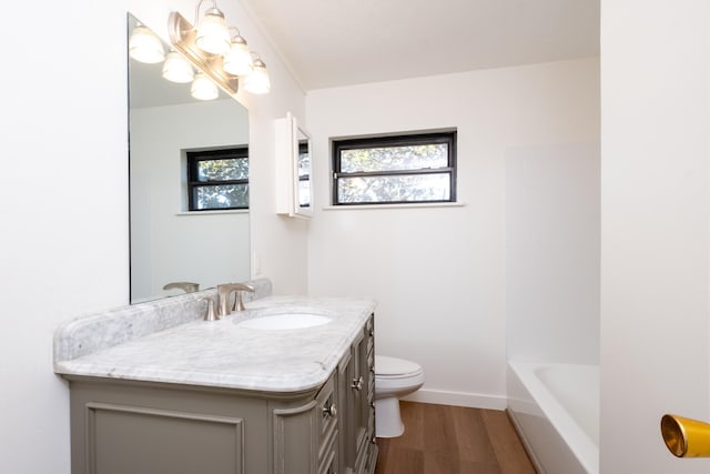 bathroom featuring hardwood / wood-style flooring, vanity, and toilet