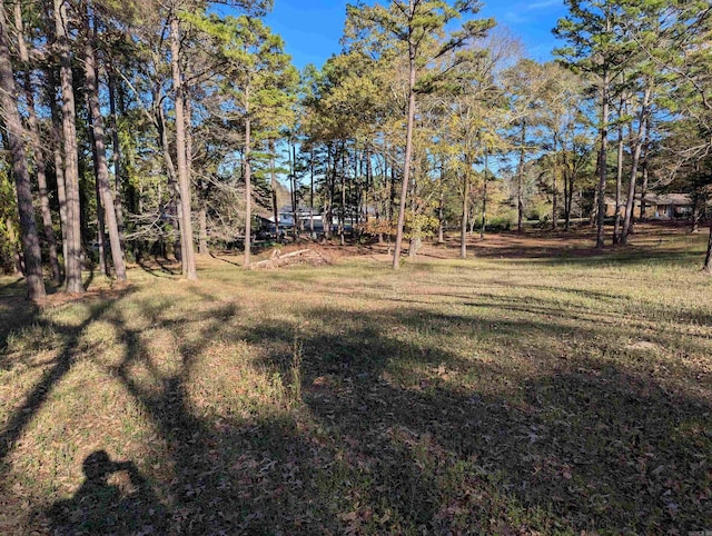 Listing photo 3 for 9 Sycamore Dr, Conway AR 72032