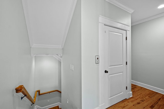 interior space featuring hardwood / wood-style flooring and ornamental molding