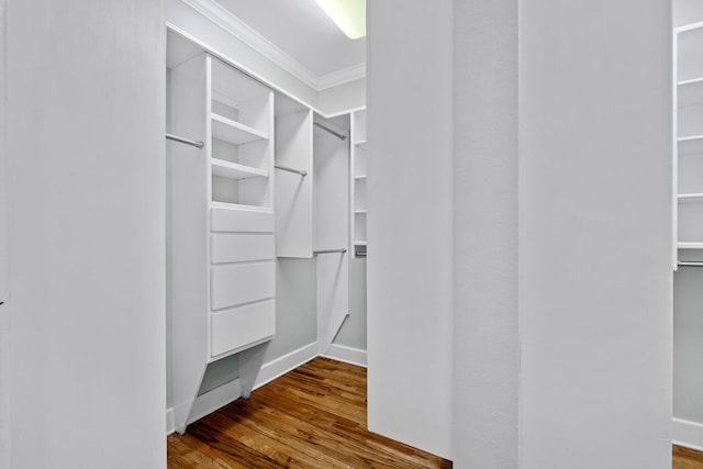 spacious closet with hardwood / wood-style flooring