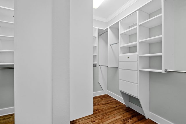 walk in closet with hardwood / wood-style flooring