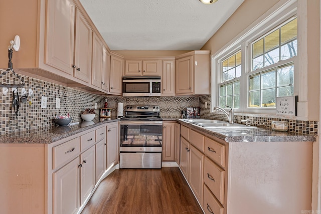 kitchen with tasteful backsplash, appliances with stainless steel finishes, sink, and dark hardwood / wood-style flooring