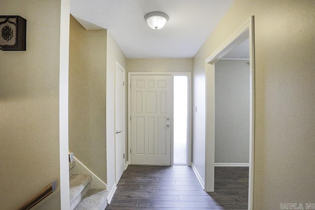 entrance foyer featuring dark hardwood / wood-style flooring