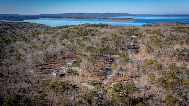 drone / aerial view featuring a water and mountain view