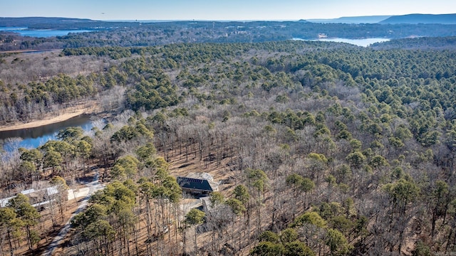 birds eye view of property featuring a water and mountain view