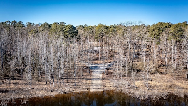 view of nature