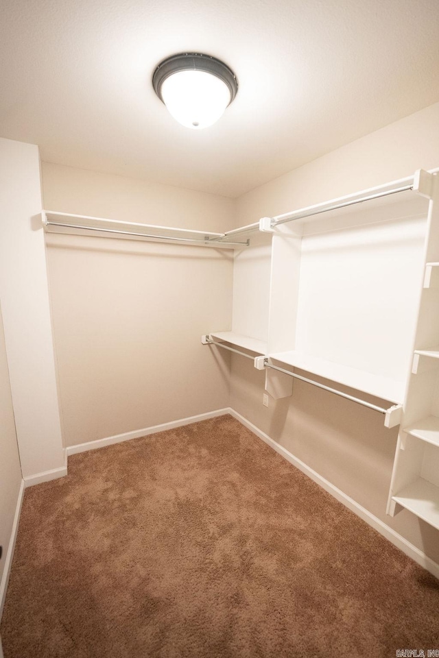 walk in closet with carpet