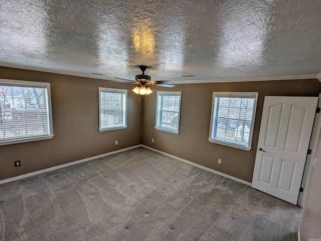 spare room featuring a healthy amount of sunlight, carpet, and a textured ceiling