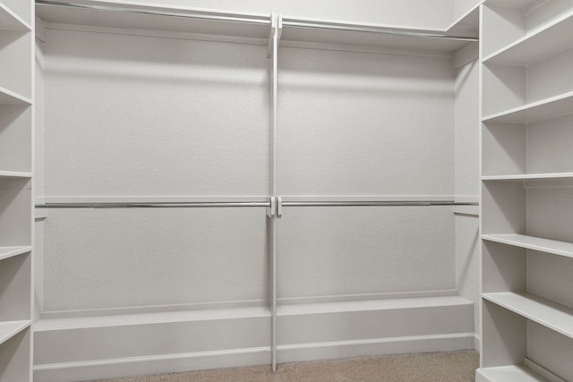 walk in closet featuring carpet