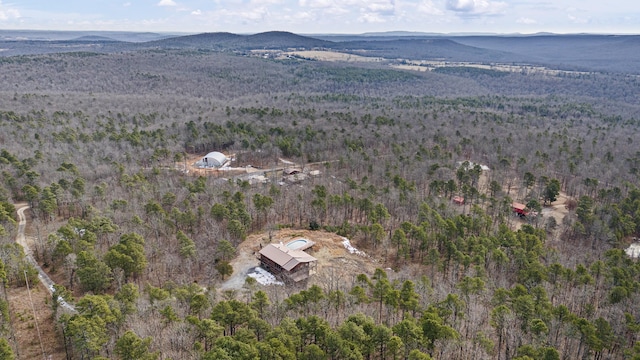 bird's eye view featuring a mountain view