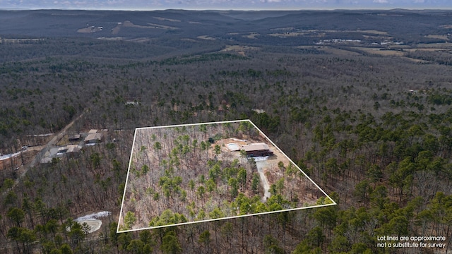 drone / aerial view with a mountain view