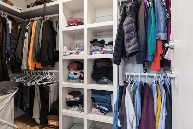 view of walk in closet