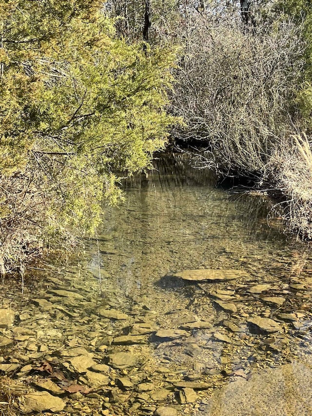 view of nature featuring a water view