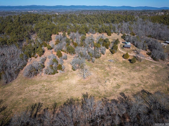 drone / aerial view featuring a mountain view