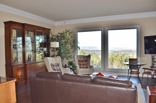 living room featuring ornamental molding, dark hardwood / wood-style flooring, and a wealth of natural light